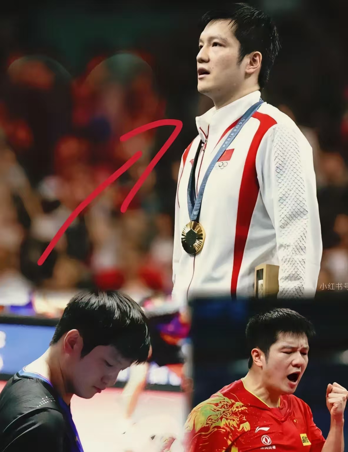 法国队完胜波兰队,樊振东统治全场 法国队完胜波兰队,樊振东统治全场