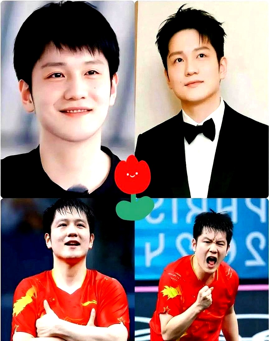 德国队碾压波兰队,樊振东惊艳四座 德国队碾压波兰队,樊振东惊艳四座